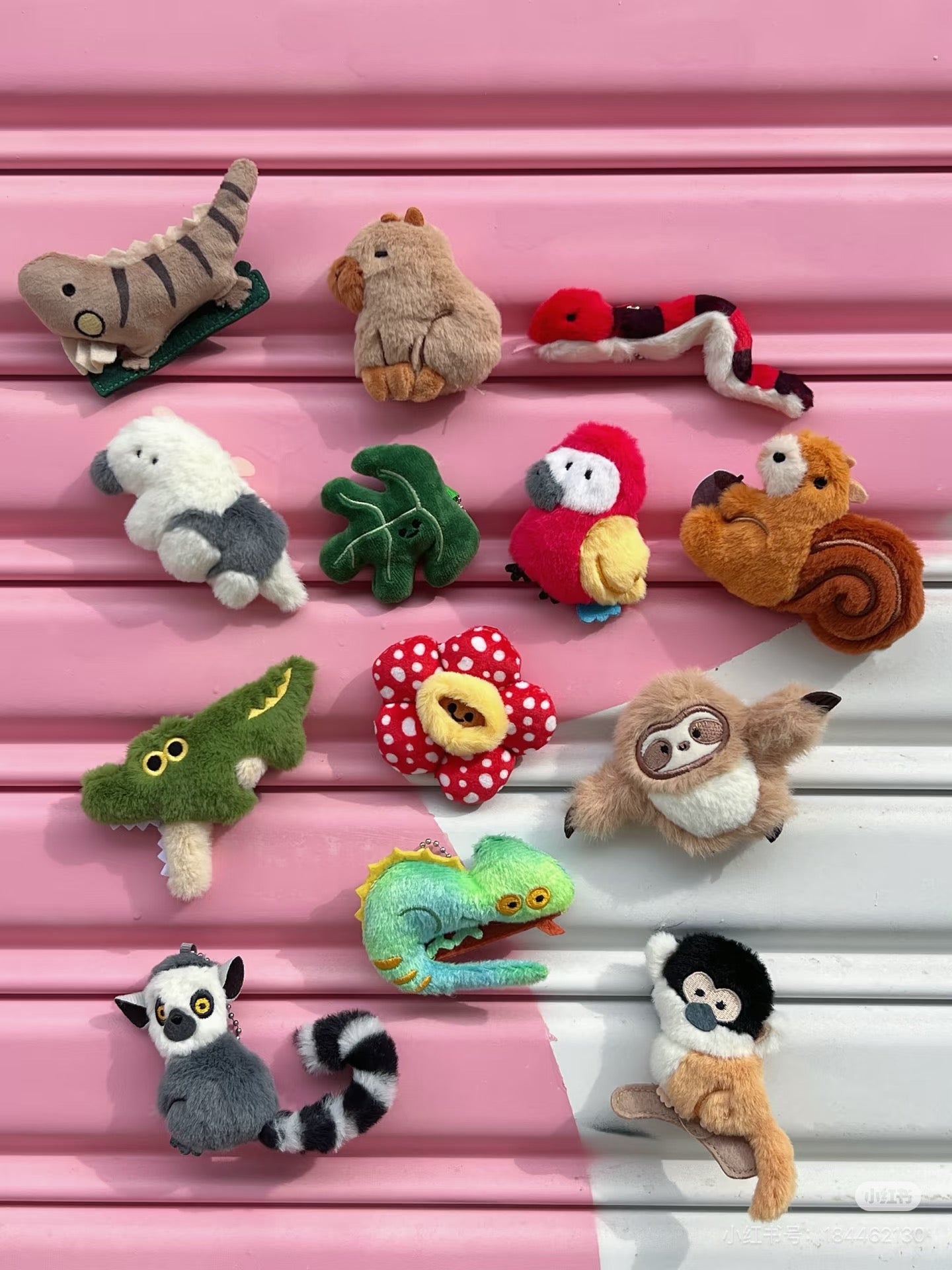 Kepelon Magnetic Sticker Rainforest Series Blind Bag